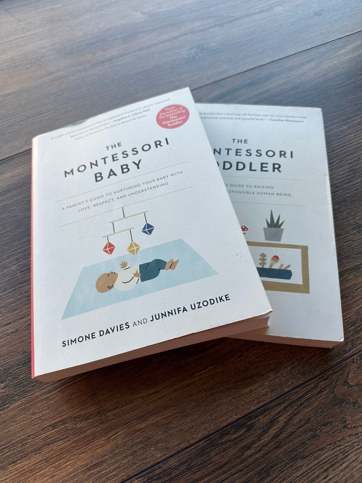 Books Montessori Baby and Montessori Toddler, Ophalen, Gelezen, Simone davies