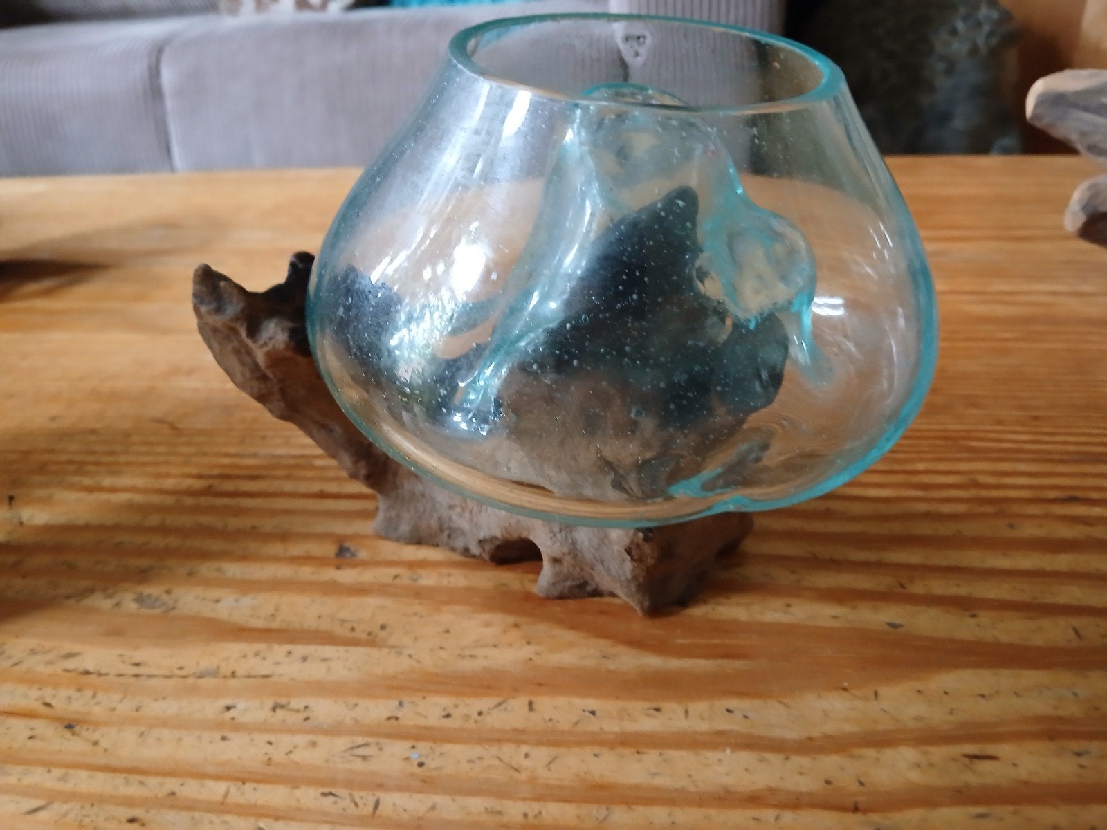 glas op stuk drijfhout, Ophalen of Verzenden, Nieuw
