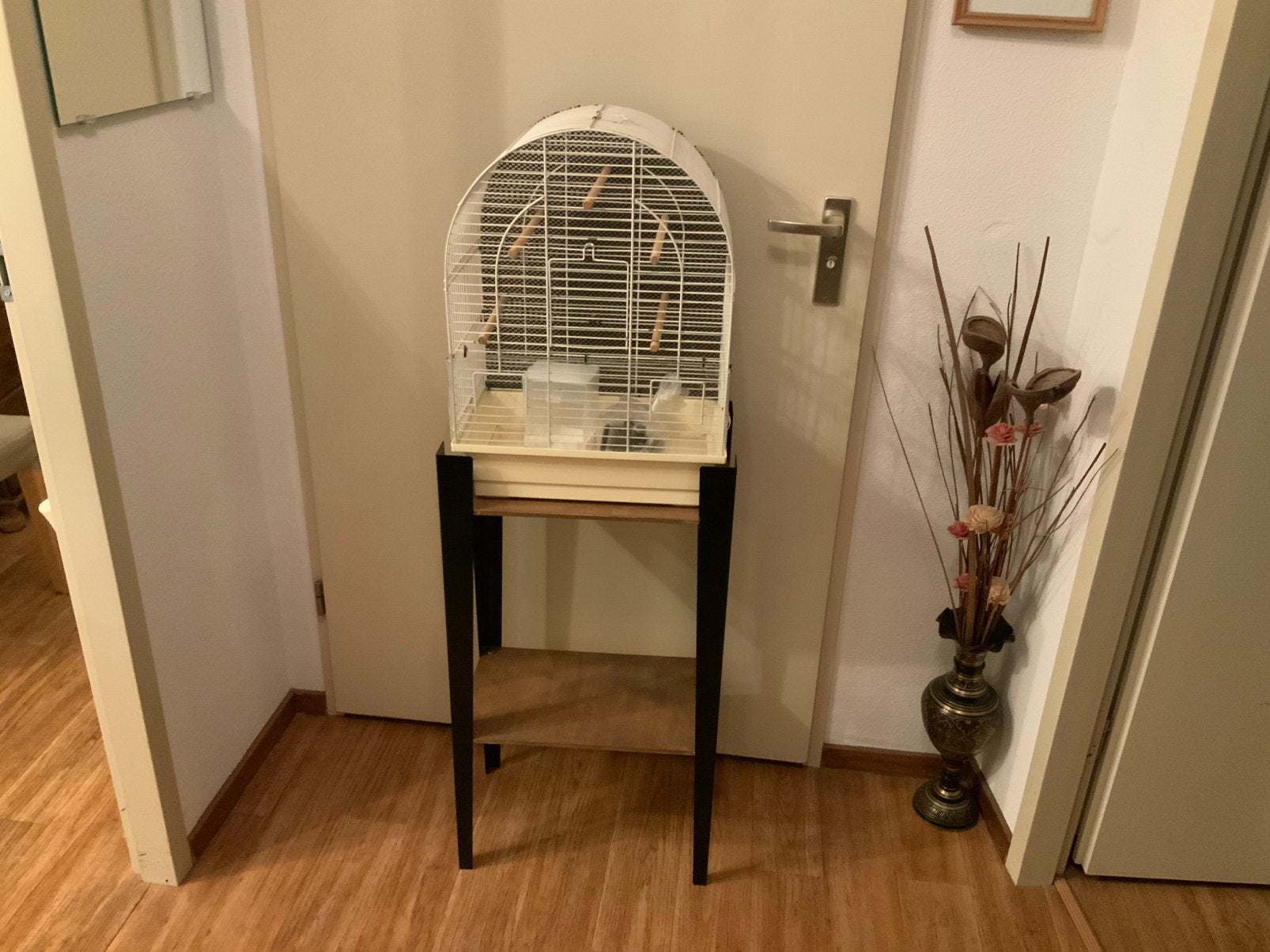 vogelkooi met standaard, Ophalen of Verzenden, Zo goed als nieuw, Kunststof, Vogelkooi
