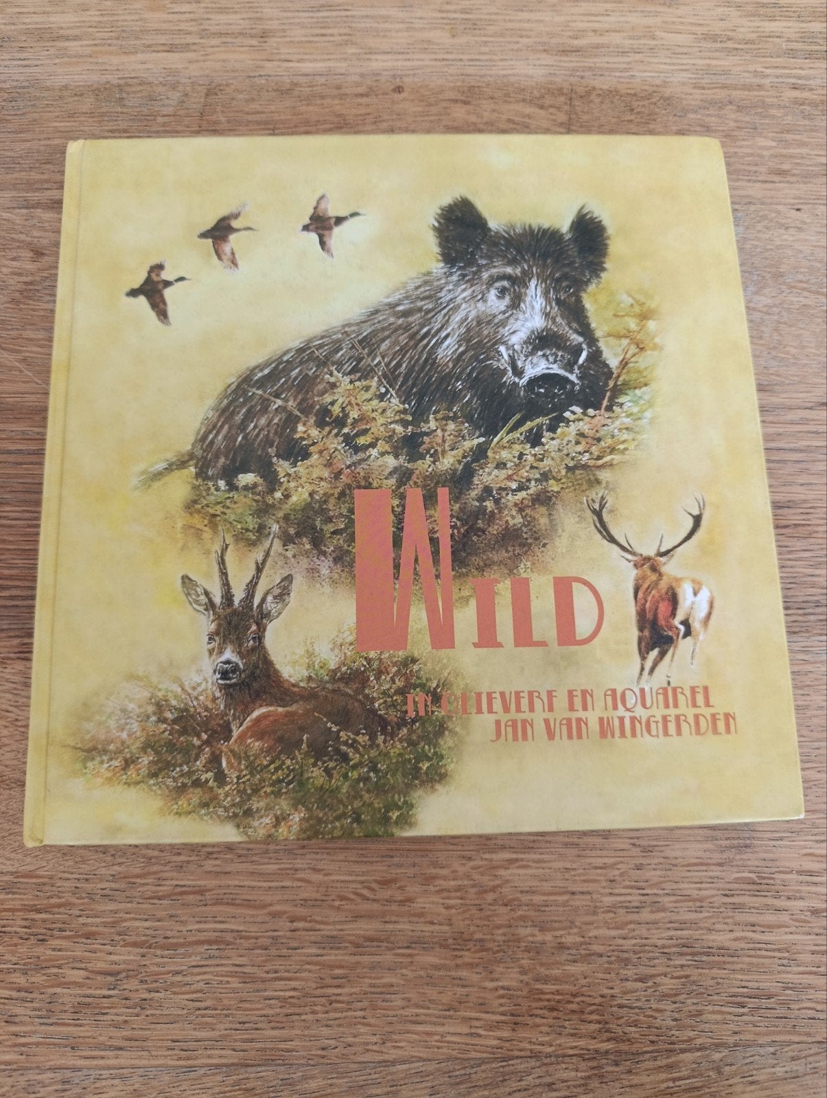WILD in olieverf en aquarel
Een boek vol met taferelen uit d, Boeken, Ophalen of Verzenden