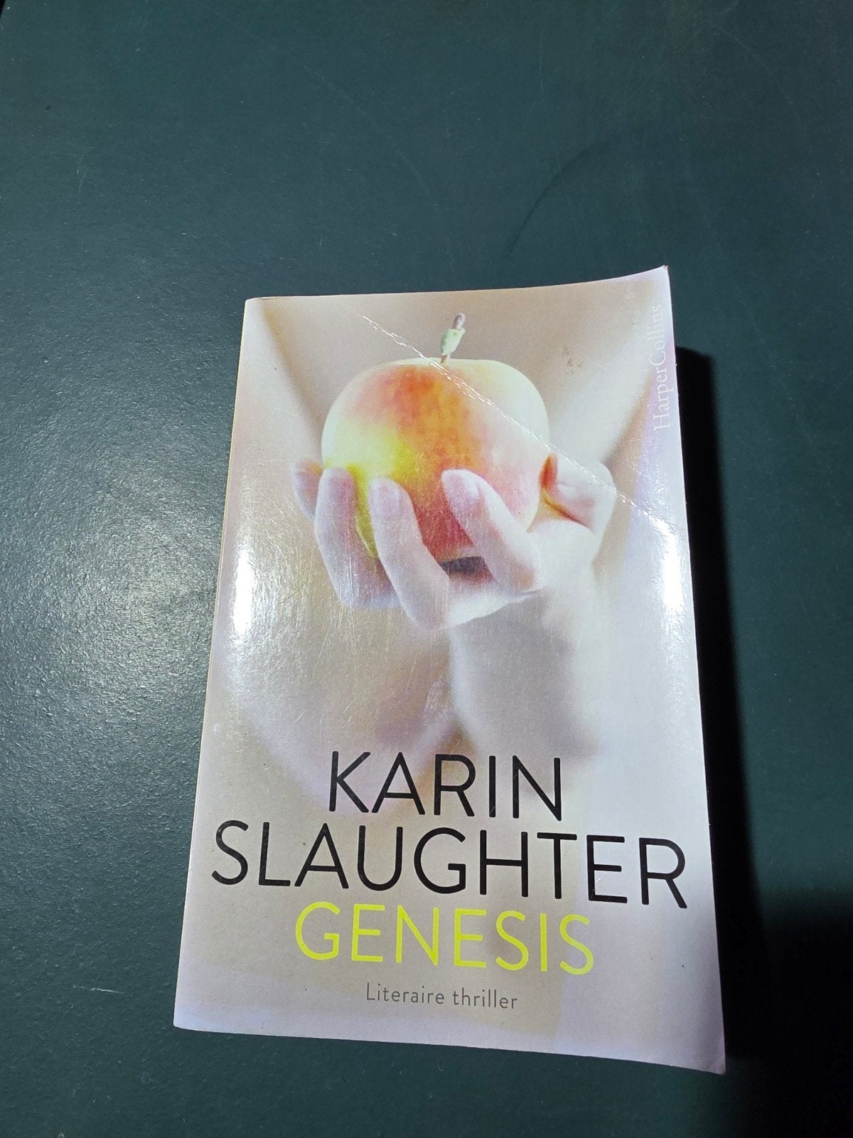 Karin Slaughter - Genesis (Literaire thriller), Ophalen of Verzenden, Gelezen, Karin Slaughter, Europa overig
