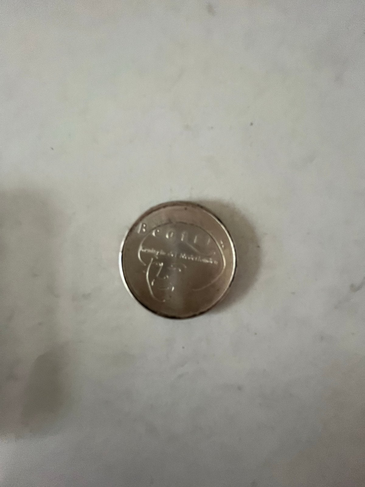 5 euro Vredesmunt 2004 - Nederland, Ophalen of Verzenden, Overige landen, 5 euro, Losse munt
