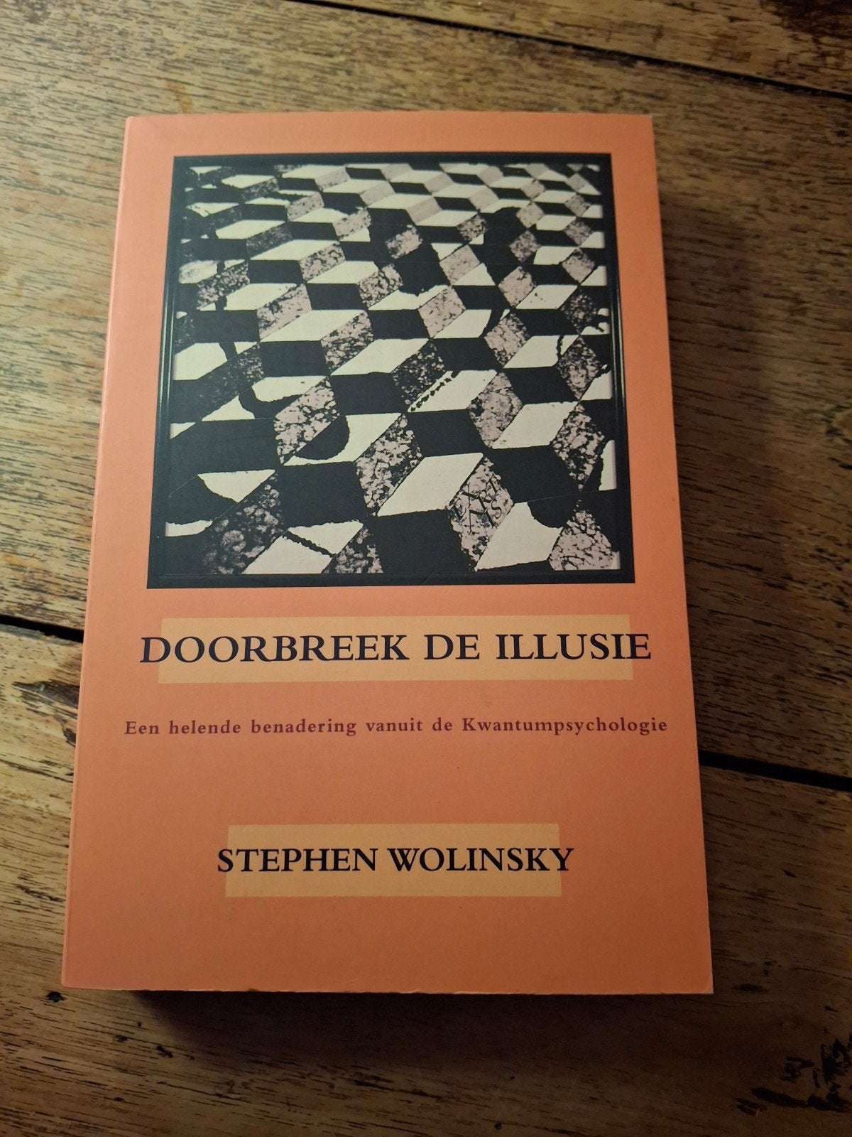 S.H. Wolinsky - Doorbreek de illusie, Overige typen, Ophalen of Verzenden, Zo goed als nieuw, S.H. Wolinsky
