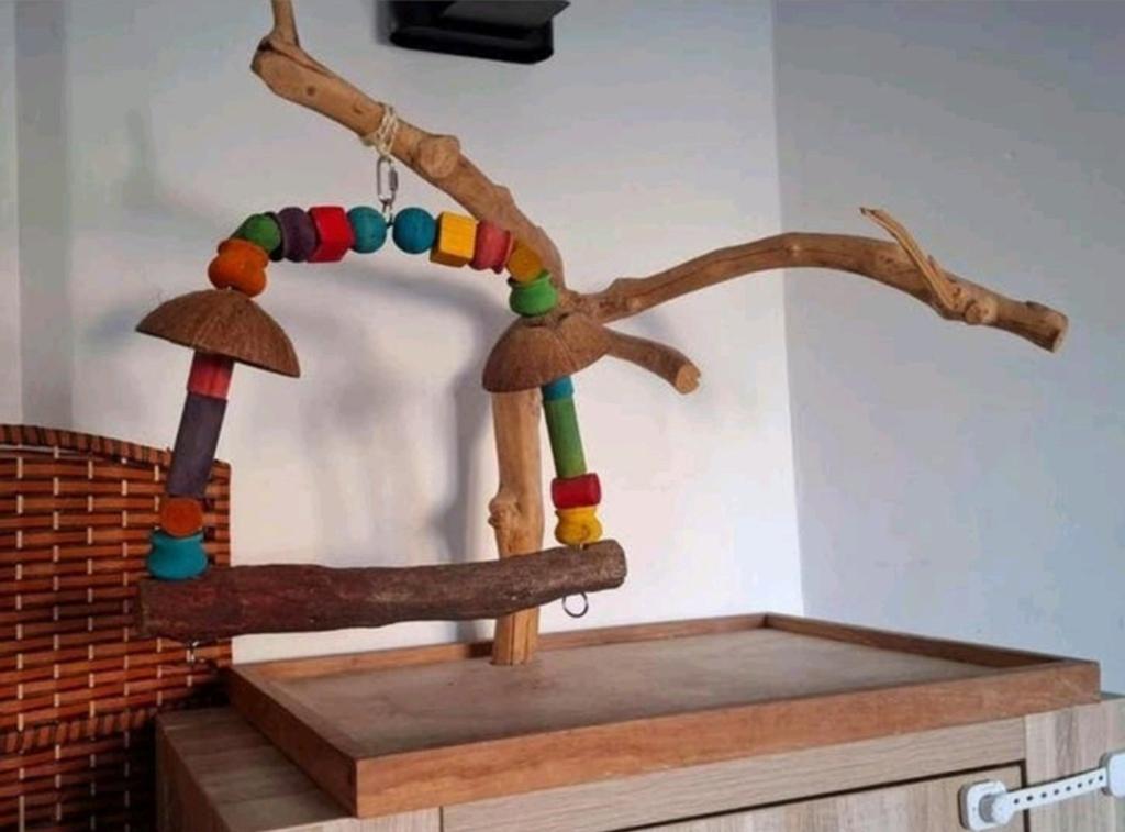 Speelboom javaboom, Dieren en Toebehoren, Ophalen, Kooi-accessoires