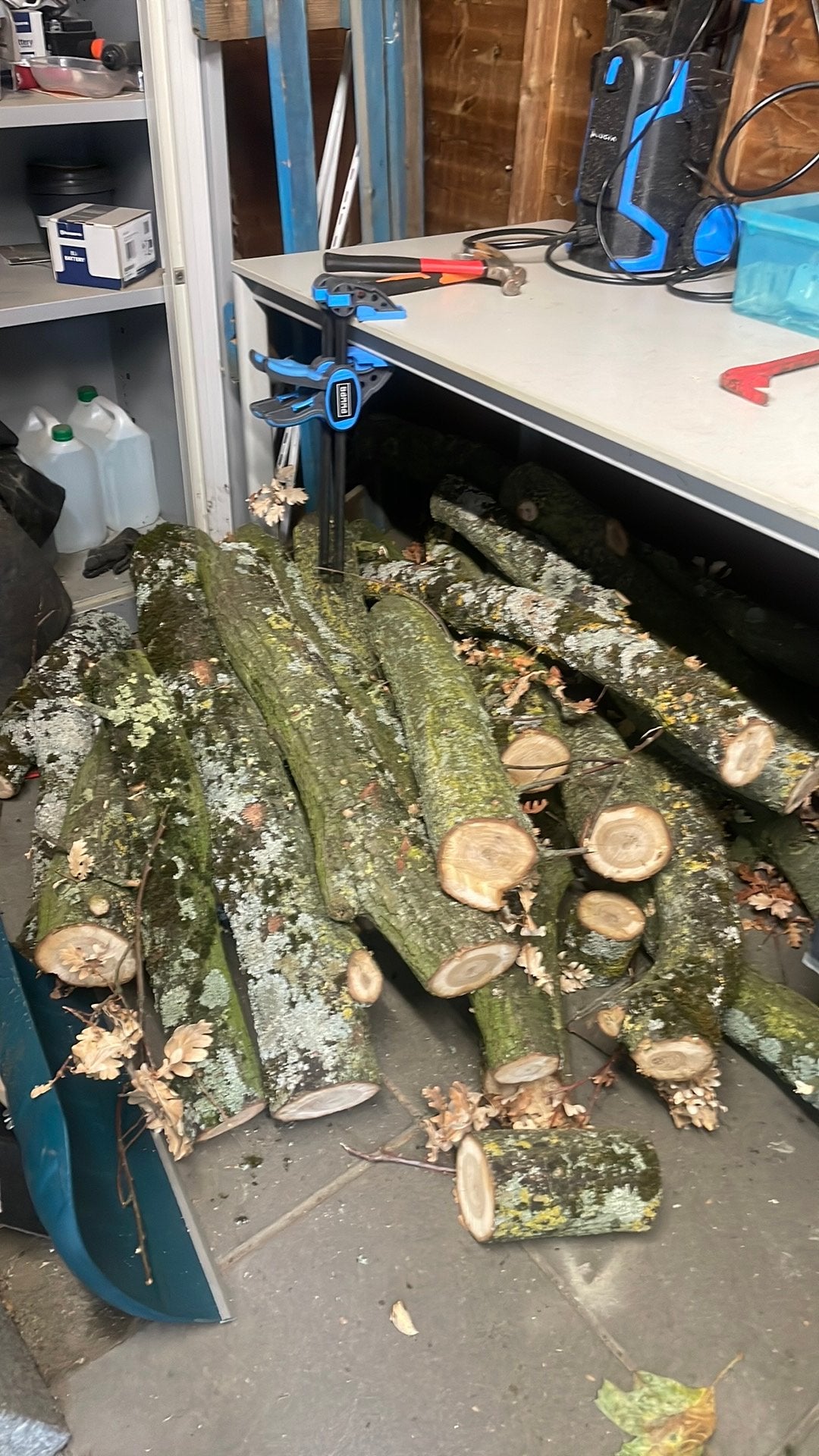 Eikenhout boomstam, Tuin en Terras, Haardhout, Minder dan 3 m³, Ophalen, Eikenhout, Stammen
