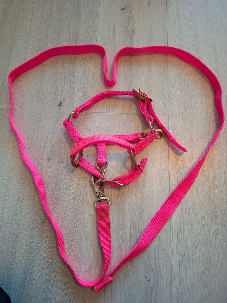 Fluoroze halstertje te koop, helemaal hip!, Dieren en Toebehoren, Ophalen of Verzenden, Gebruikt, Dressuur