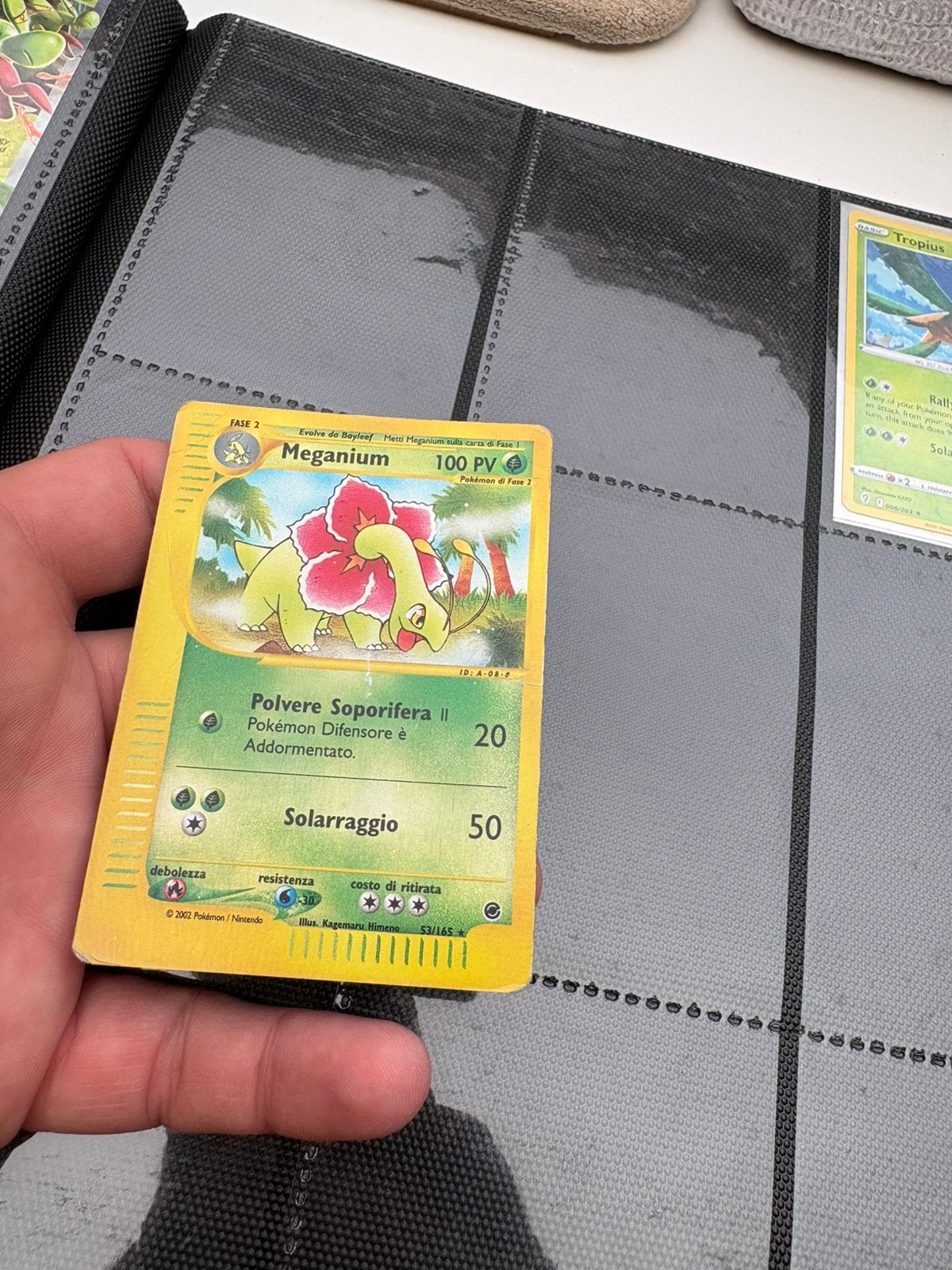 Meganium expedition reverse holo, Ophalen of Verzenden, Zo goed als nieuw, Meerdere kaarten, Foil