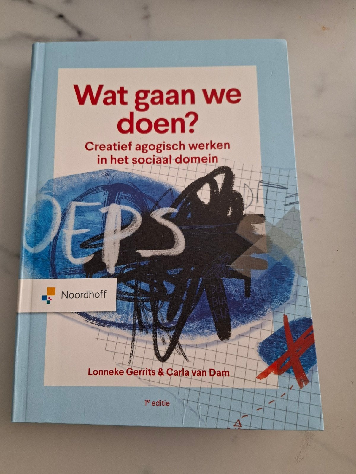 Wat gaan we doen? Creatief agogisch werken sociaal domein, Lonneke Gerrits & Carla Van Dam, Zo goed als nieuw, Alpha, HBO