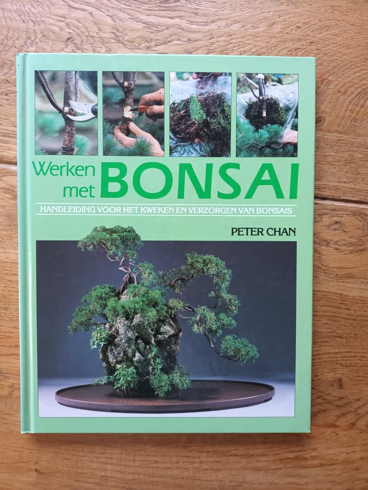 Peter Chan	Werken met Bonsai / Handleiding voor het kweken, Ophalen of Verzenden, Zo goed als nieuw