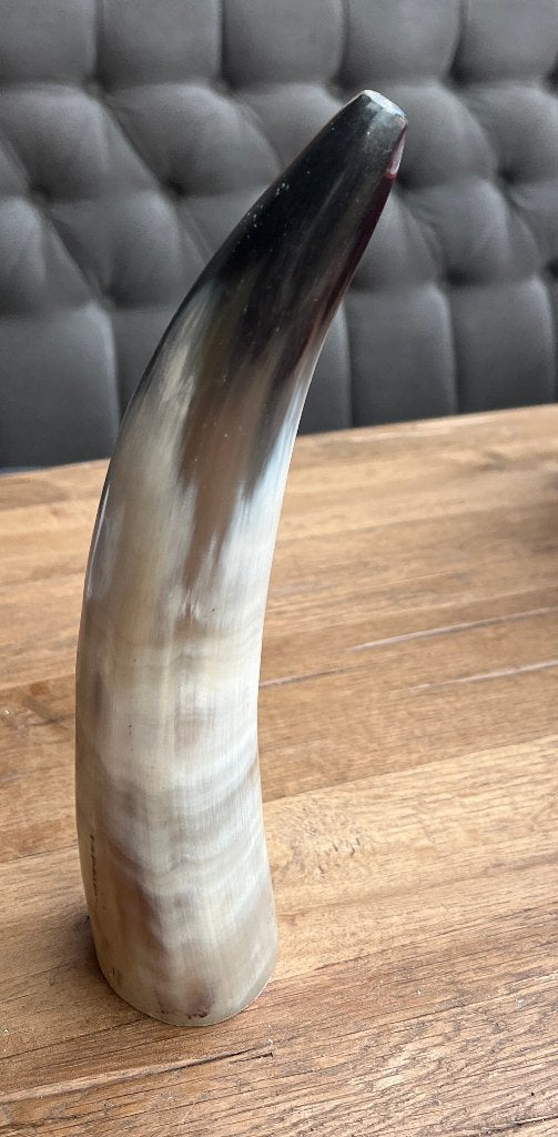 Decoratieve buffelhoorn / runderhoorn – 25 cm hoog, Huis en Inrichting, Ophalen of Verzenden, Zo goed als nieuw, Natuurlijk materiaal