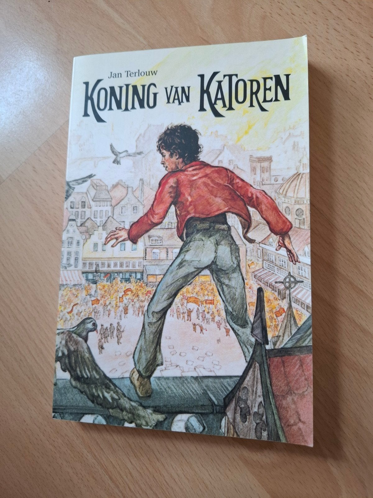 Jan Terlouw Koning van Katoren, Boeken, Ophalen of Verzenden