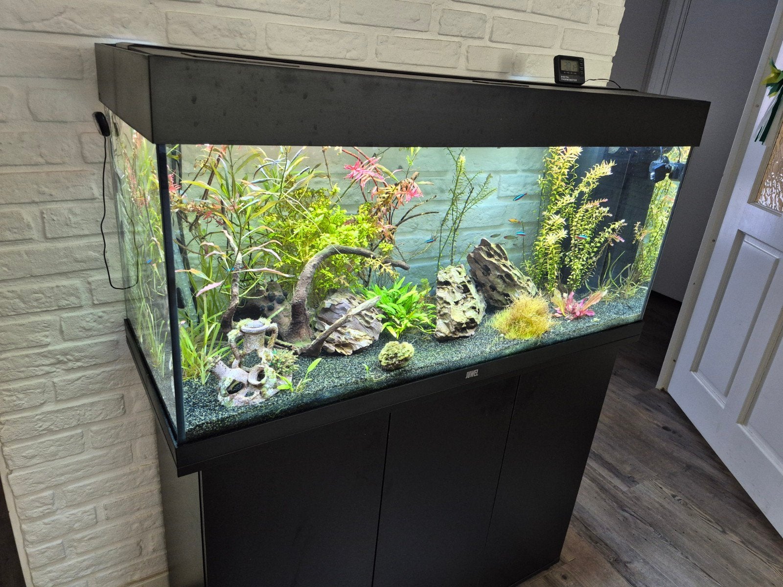 Jewel Aquarium 100x40x50 Zwart, Dieren en Toebehoren, Ophalen