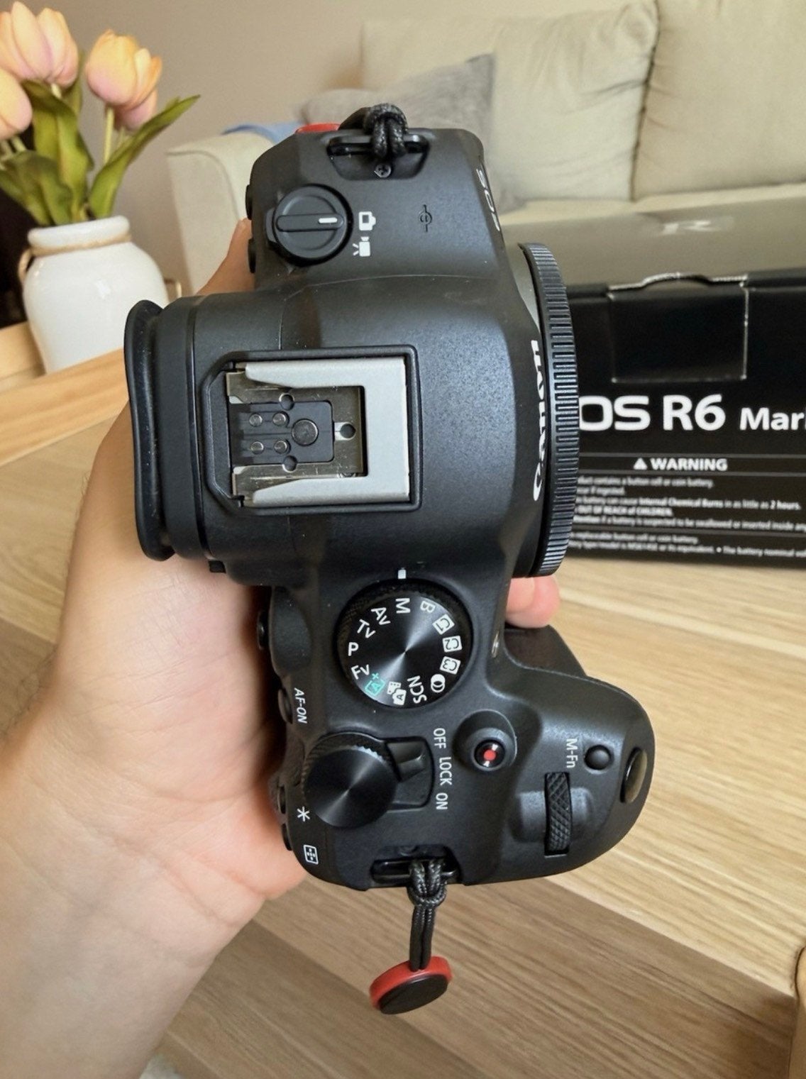 Foto 10 van Canon EOS R6 MARK II