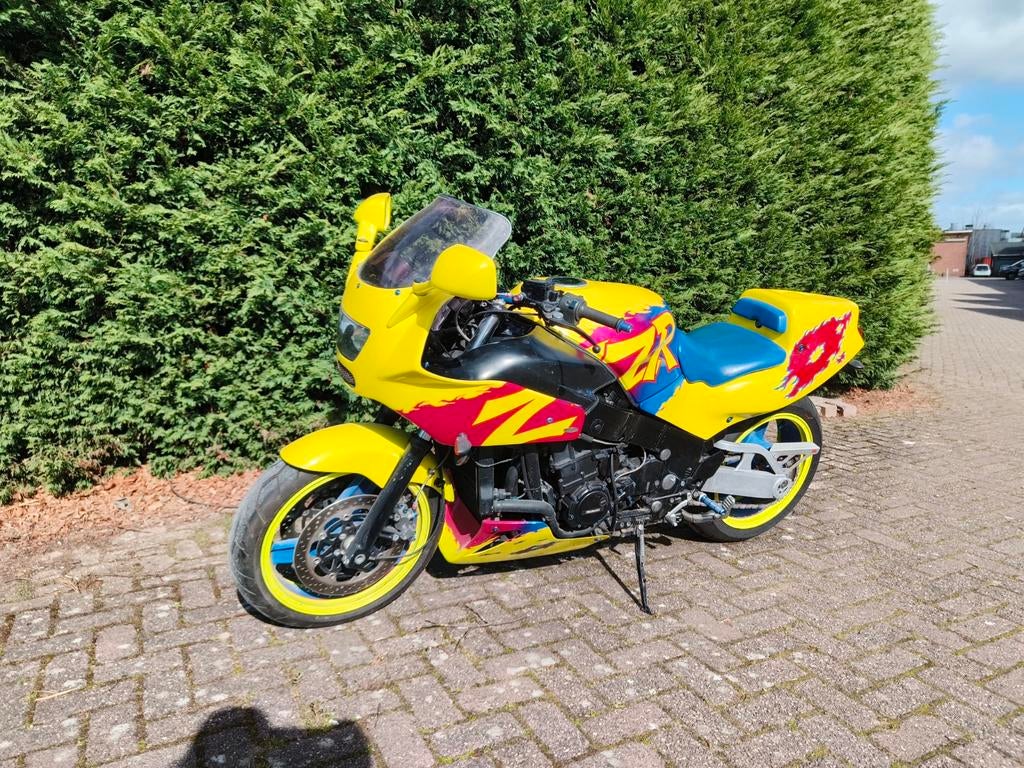Kawasaki ZZR1100, Particulier