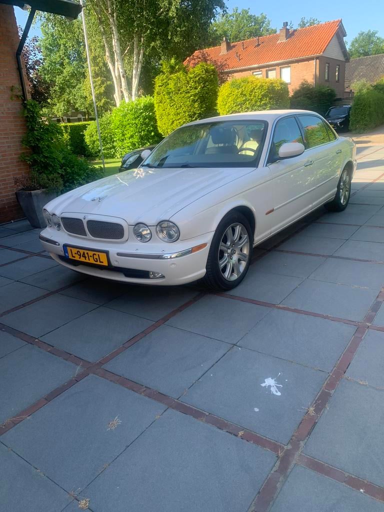 Jaguar XJ 8  3.5, Automaat, 258 pk, 3555 cc, Wit