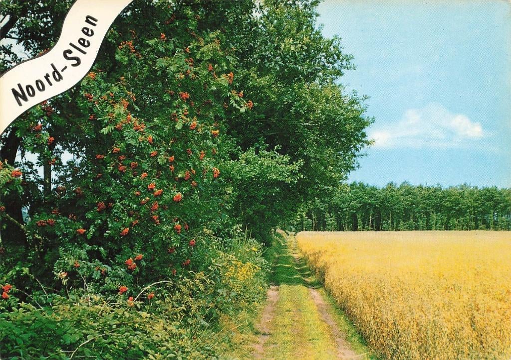 Noord-Sleen, Verzamelen, Ansichtkaarten | Nederland, Ophalen of Verzenden, 1960 tot 1980, Gelopen, Drenthe
