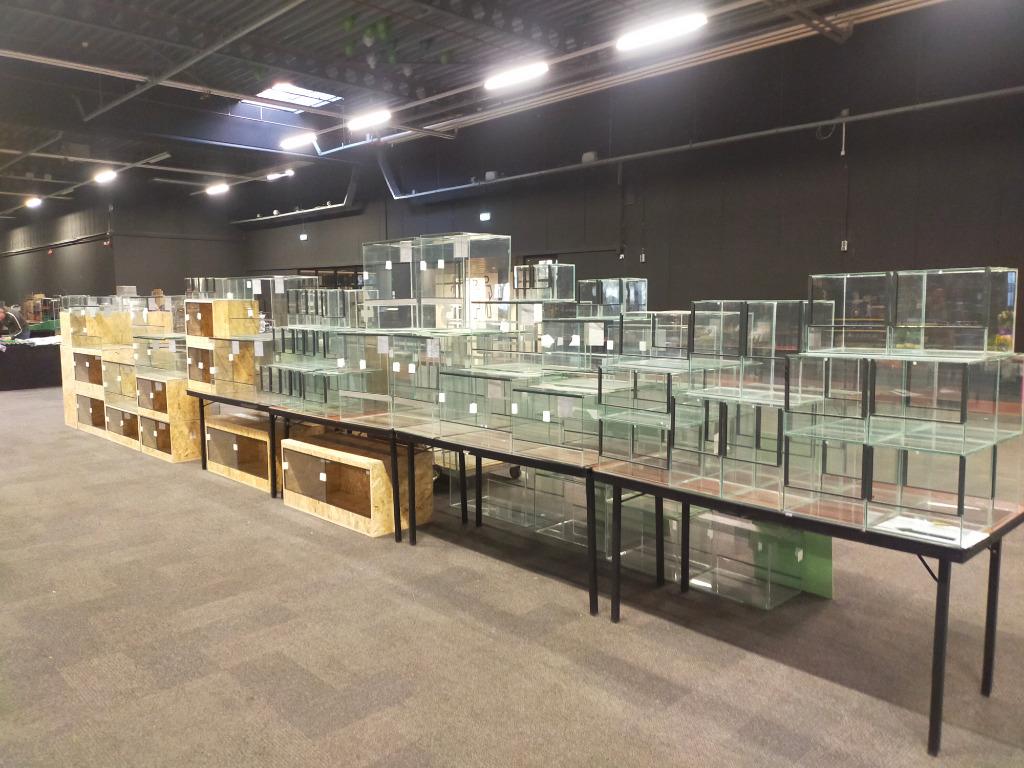 Foto 13 van osb3 terrariums ook maat werk
