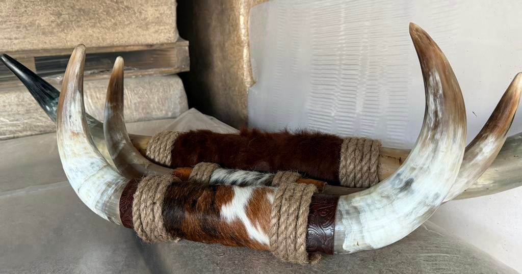 Longhorn, Verzamelen, Dierenverzamelingen, Ophalen of Verzenden, Nieuw, Opgezet dier