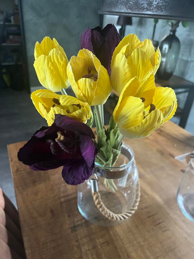 Mooie tulpen, Ophalen, Zo goed als nieuw, Binnen