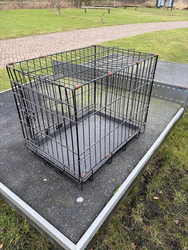 Bench voor kleine hondjes of kat, Dieren en Toebehoren, Ophalen