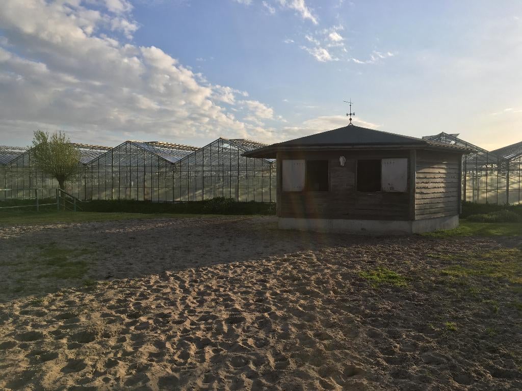 Pension stal met 365 dagen weidegang, Weidegang, 1 paard of pony