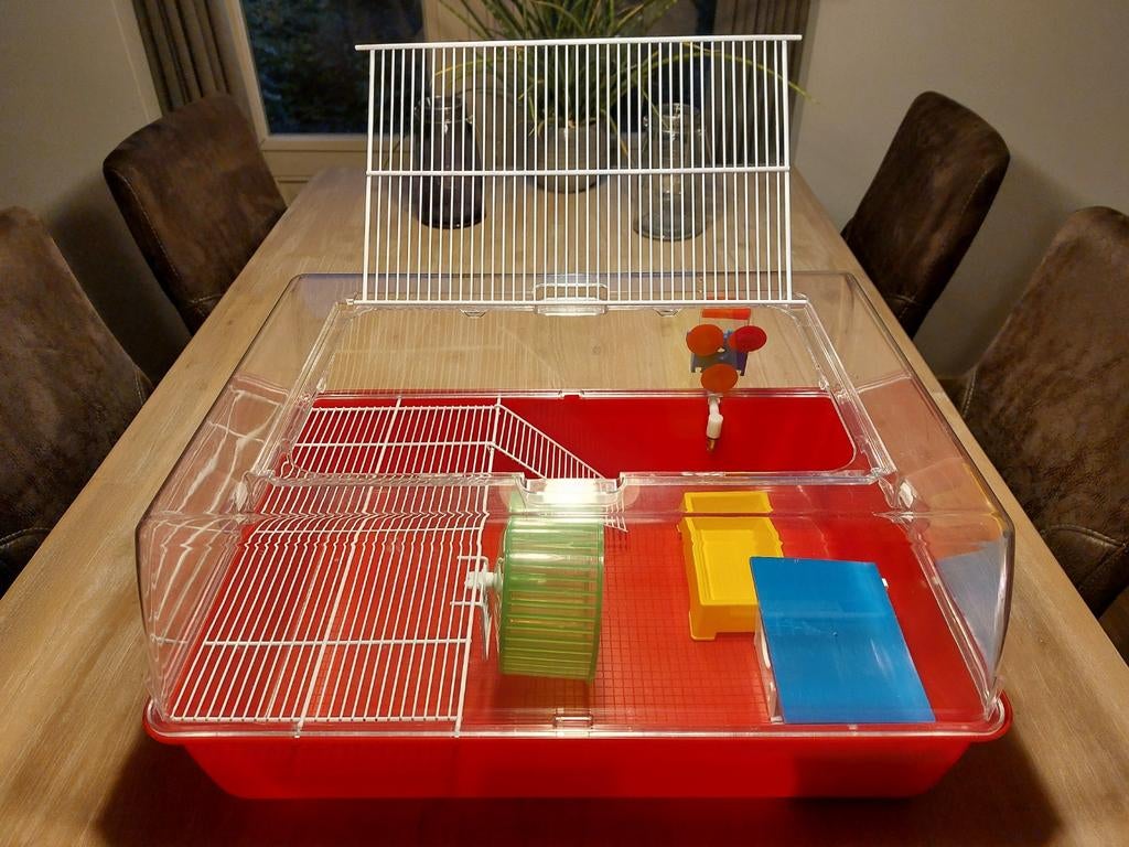 Dwerghamsterhok met diverse speeltjes, Kooi, Muis, 75 tot 110 cm, Ophalen