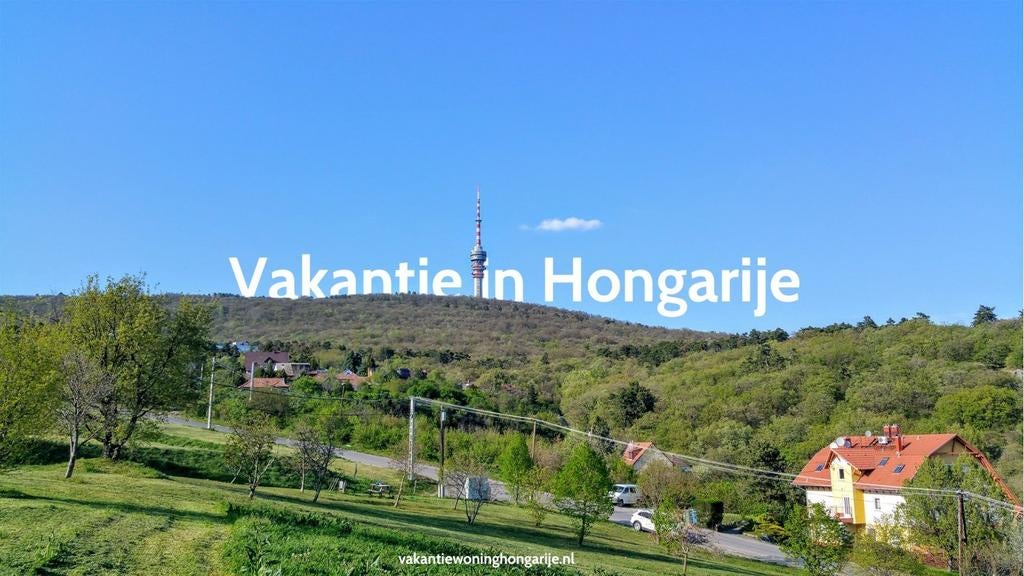 Heerlijk goedkoop vakantie vieren in het mooie Hongarije!, Vakantie, Vakantiehuizen | Hongarije, 2 slaapkamers, Landelijk, Wasmachine