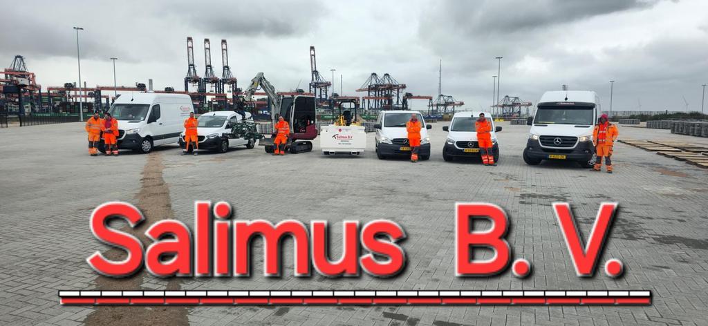 Grondwerker en stratenmaker +tuinaalegen, Bestrating