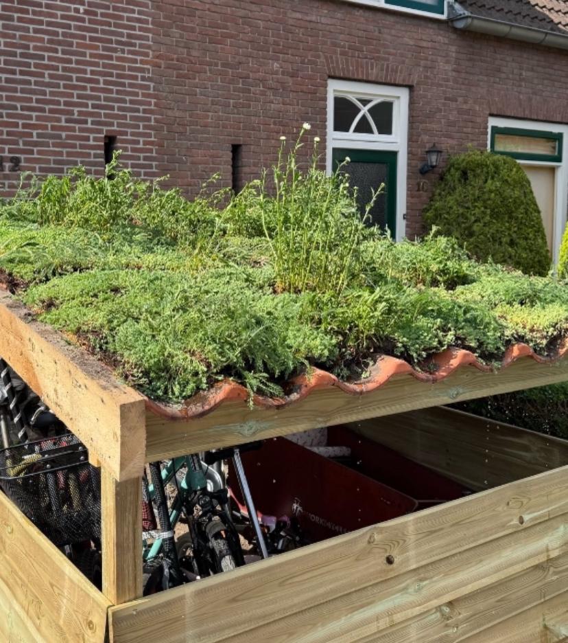 Sedum met kruiden en plantjes groen dak of tuin