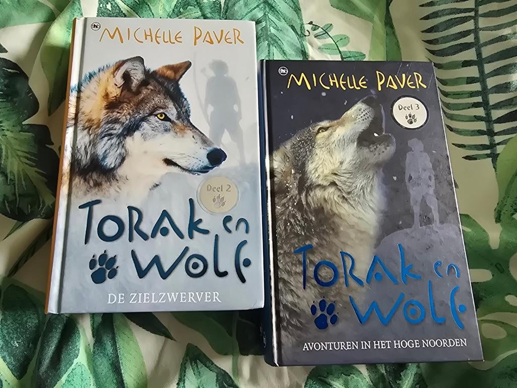 Michelle Paver: Torak en Wolf, zielzwerver + avonturen hoge, Boeken, Ophalen of Verzenden