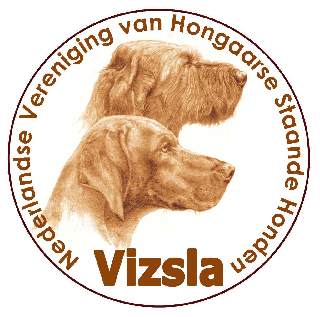 Vizsla pup, Dieren en Toebehoren, Overige rassen, 8 tot 15 weken, Geslacht onbekend, Meerdere