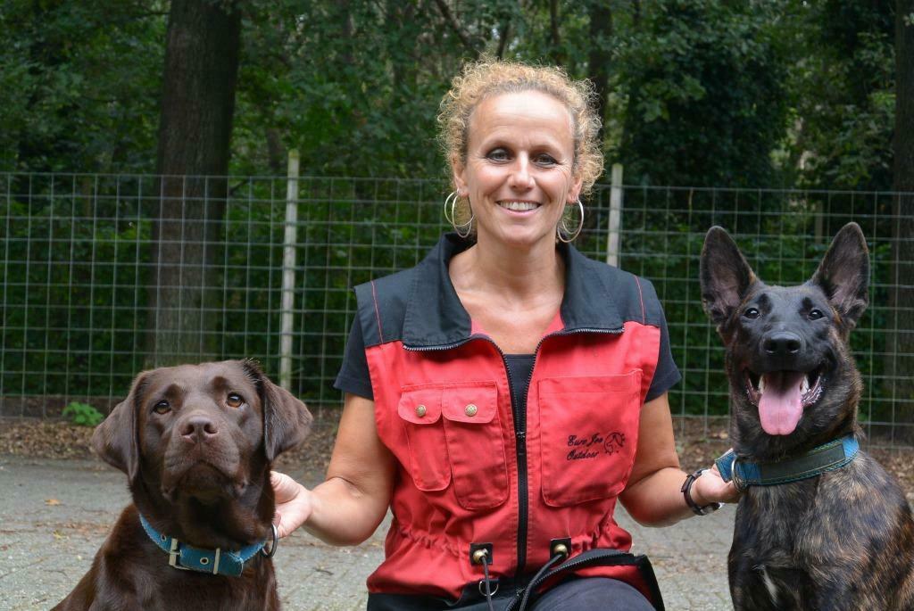 Training en Advies op maat voor baasjes van honden, Training of Cursus