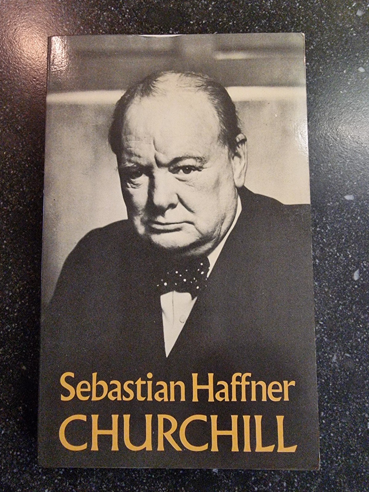 Churchill - Sebastian Haffner (Boek), Boeken, Verzenden, Zo goed als nieuw, Sebastian Haffner, Politiek