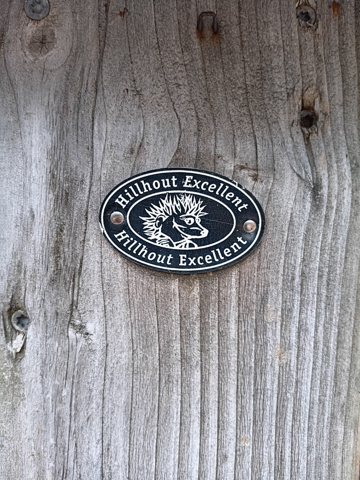Hillhout Excellent tuinpoort met gegalvaniseerd frame, Tuin en Terras, Ophalen, Met poort, Gebruikt, Tuinhek
