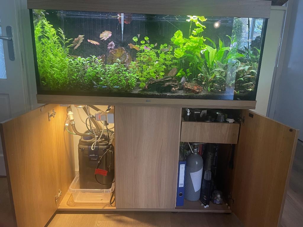 Jewel aquarium compleet, Ophalen, Gebruikt, Gevuld zoetwateraquarium, Inclusief vissen