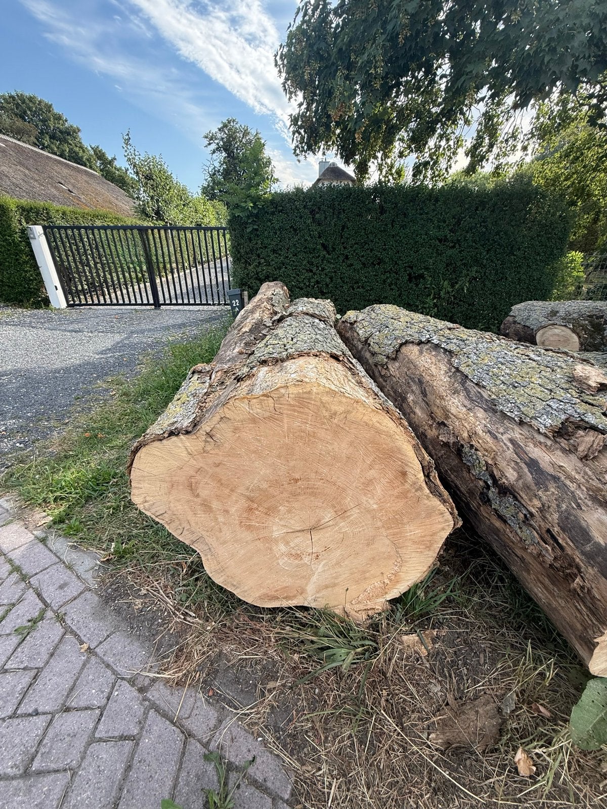 Dikke essen boomstammen te koop, 3 tot 6 m³, Ophalen, Essenhout, Stammen