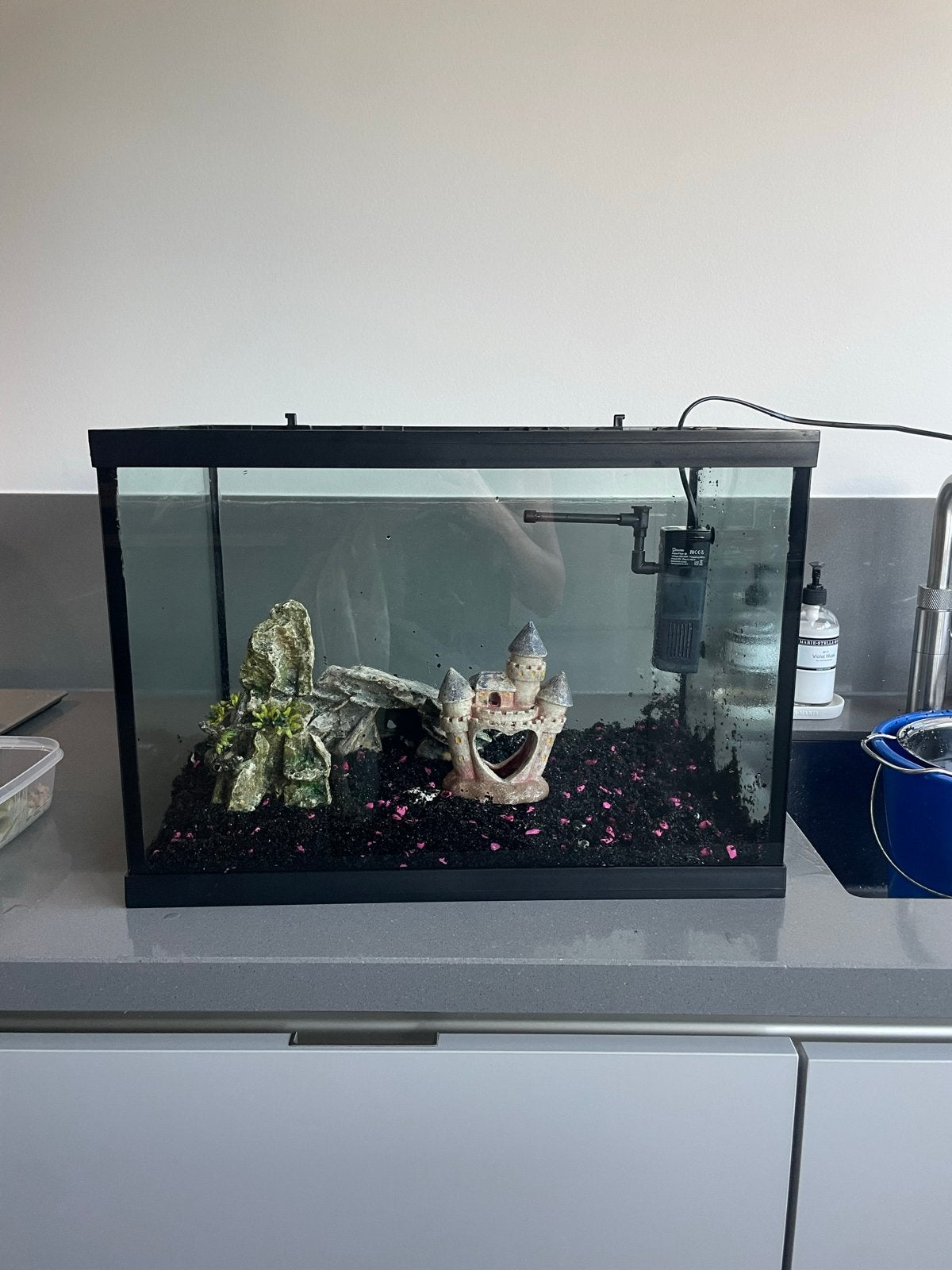 Aquarium, Dieren en Toebehoren, Ophalen of Verzenden, Gebruikt, Leeg aquarium