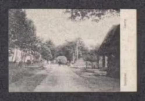 Zweeloo Dorpsstraat Dorpsgezicht Paard met Wagen Koedijk, Ophalen of Verzenden, Voor 1920, Gelopen, Drenthe
