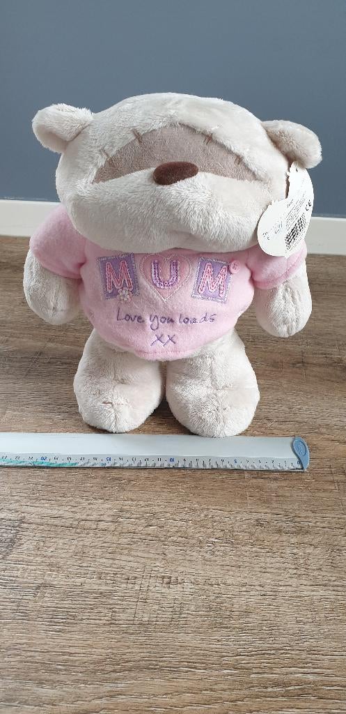 Nieuw Fizzy moon moederdag knuffel beer mum love you loads, Overige merken, Beer, Nieuw, Ophalen of Verzenden