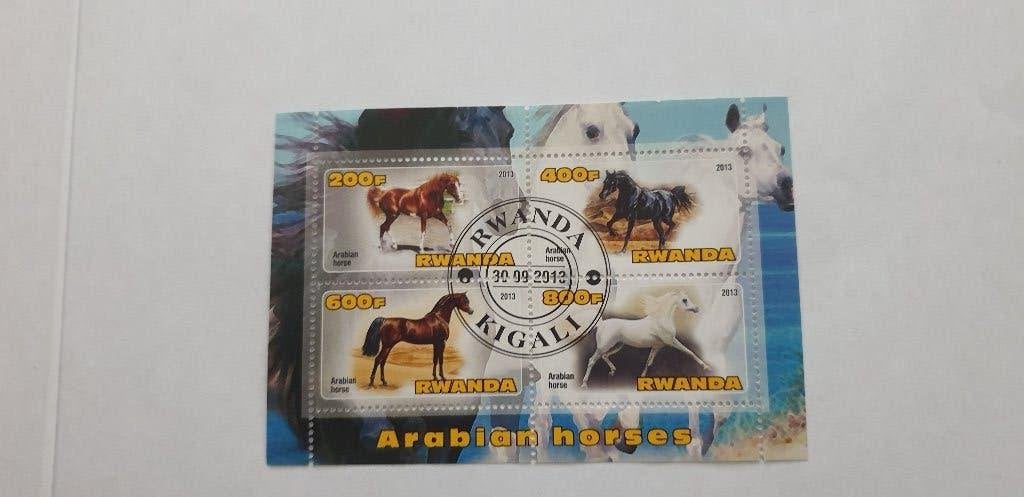 5301 rwanda kigali arabian horses paarden, Verzenden, Dier of Natuur