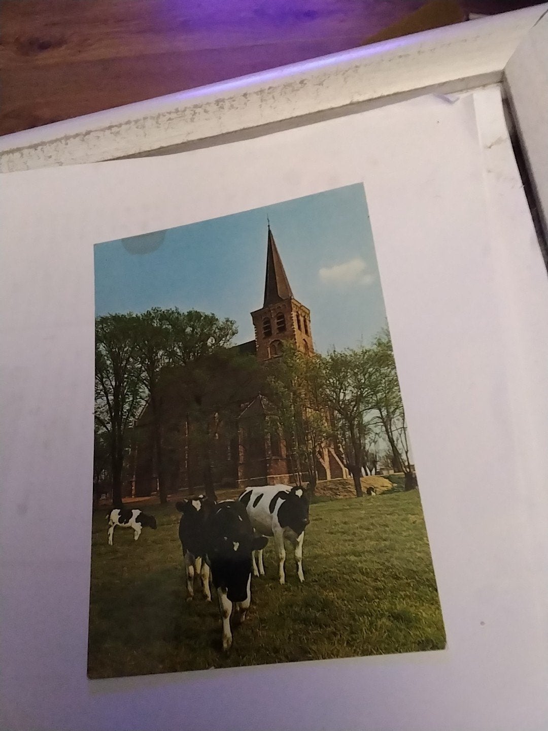Ansichtkaart Hervormde Kerk 't Woud met koeien, Ophalen of Verzenden