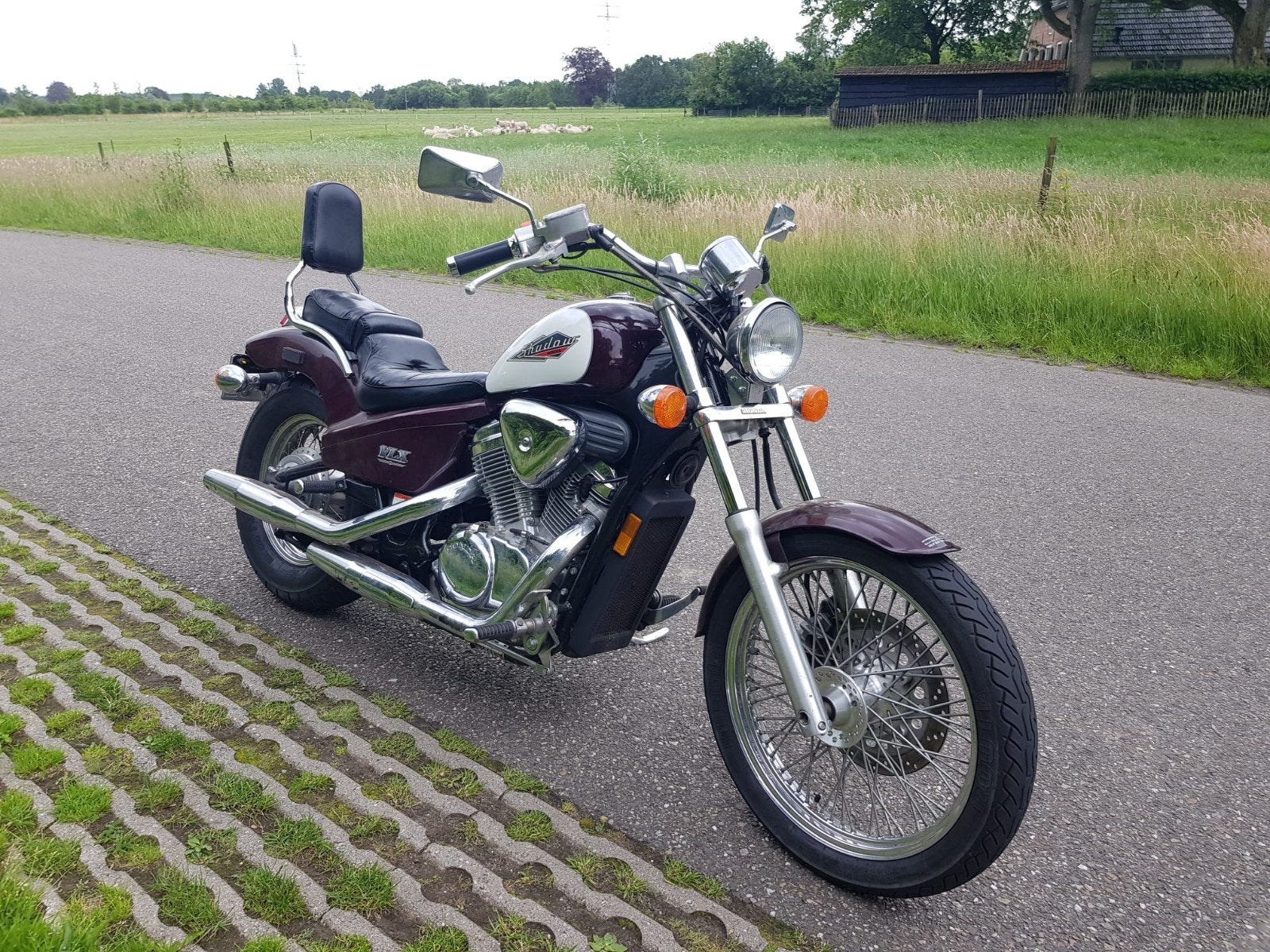 Honda shadow tekoop, Motoren, Motoren | Honda, Particulier, Ophalen of Verzenden