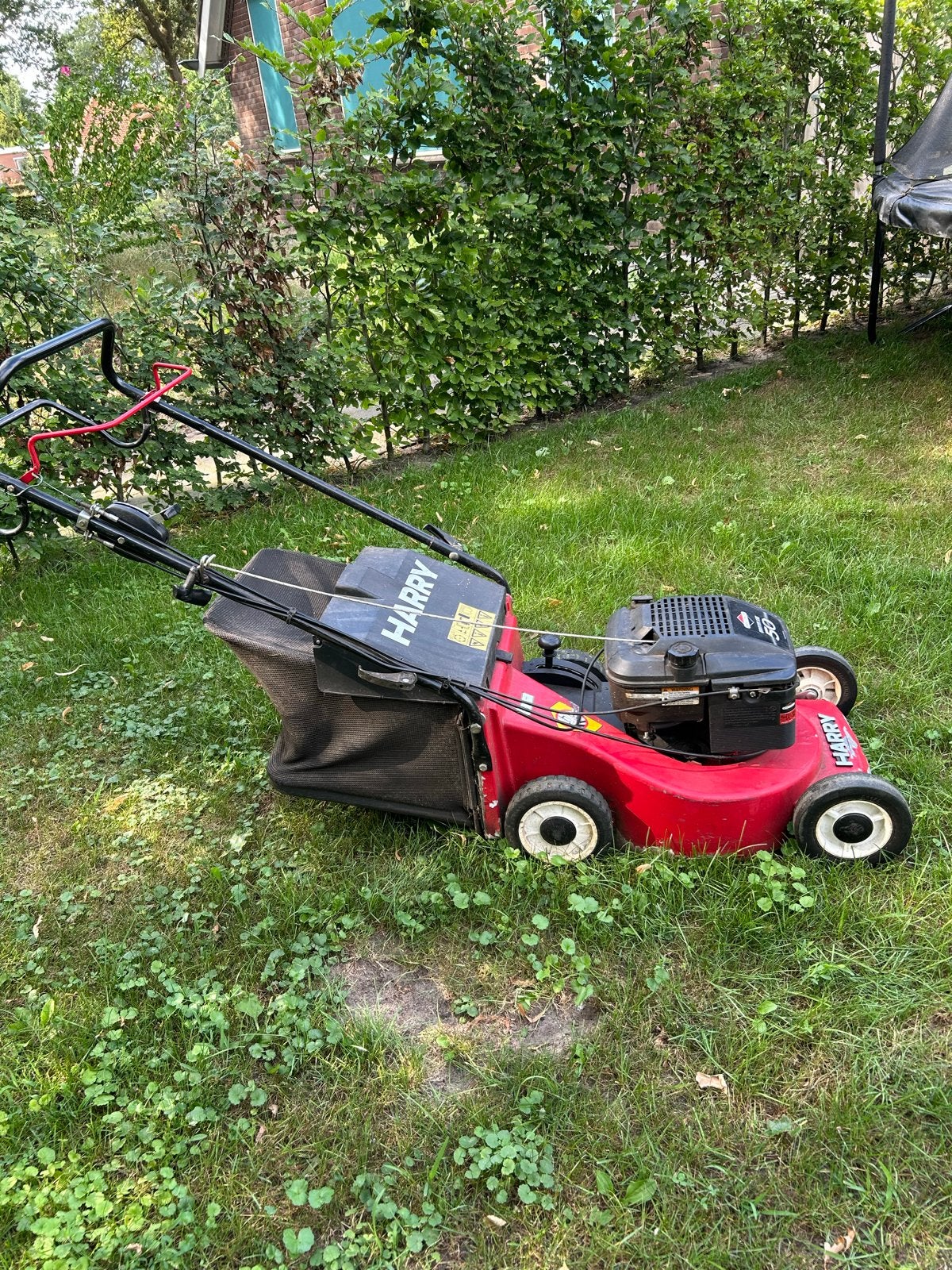 Harry grasmaaier - Benzine - 3.73 kW - Met opvangzak, Ophalen, Cirkelmaaier, Gebruikt, 40 t/m 49 cm
