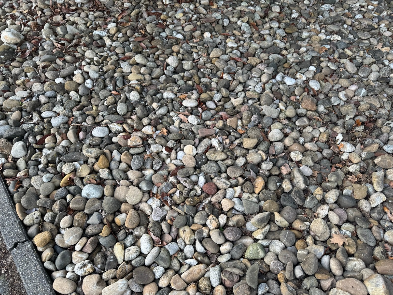 Mooie sierkeien voor tuin of oprit, Ophalen, Gebruikt, Multi, Kei