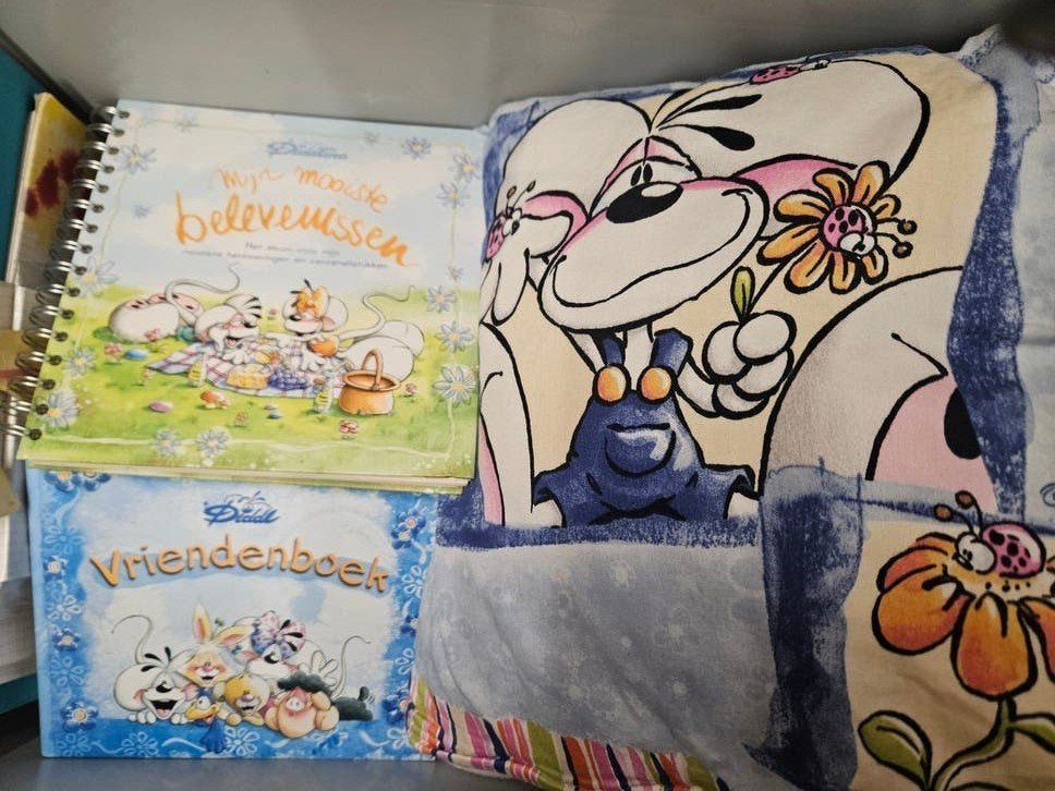Grote collectie Diddl spullen: mokken, knuffels, briefpapier, Verzamelen, Ophalen of Verzenden, Zo goed als nieuw, Knuffel