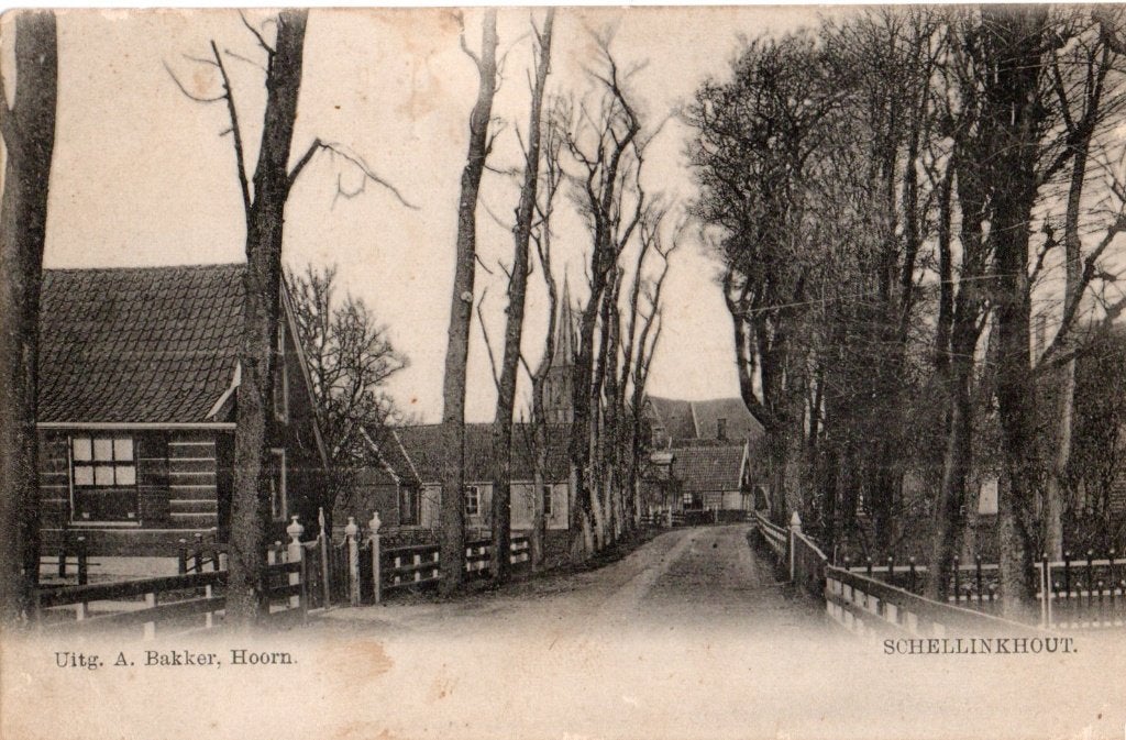 Schellinkhout, Zicht op het dorp. 3908, Verzenden, Voor 1920, Ongelopen, Noord-Holland