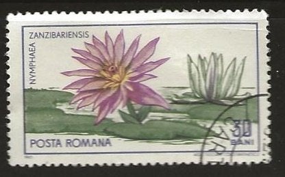 Roemenie 1, waterlelie, Verzenden, Overige landen, Gestempeld