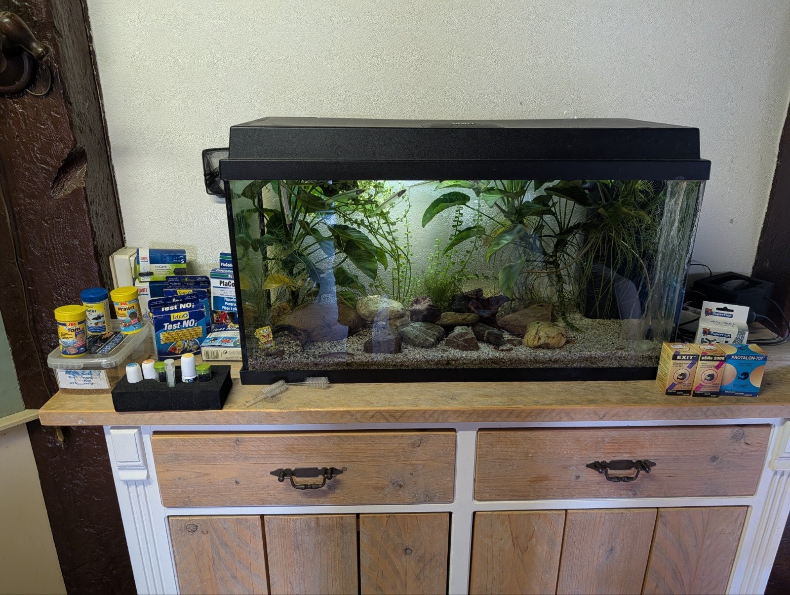 Compleet en gezond aquarium met toebehoren, Dieren en Toebehoren, Vissen | Aquaria en Toebehoren, Ophalen, Inclusief toebehoren