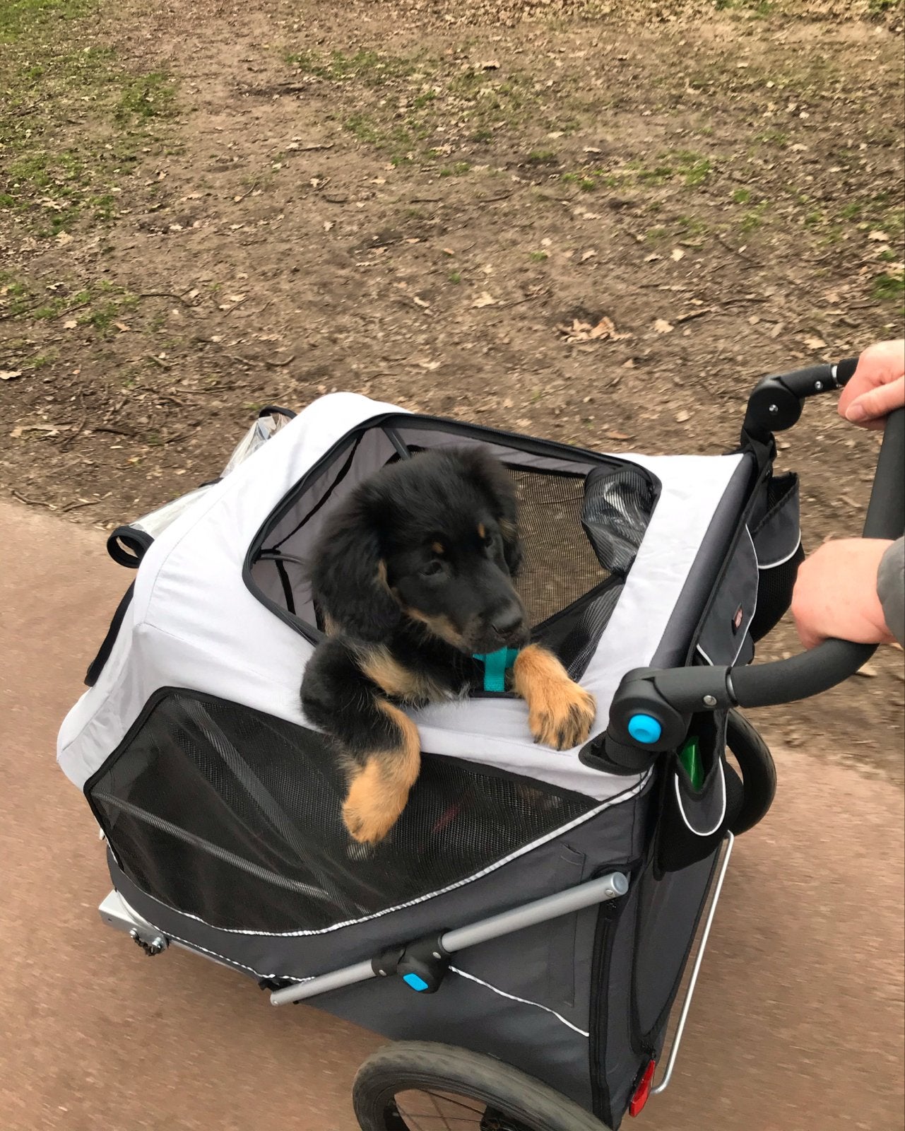 Trixie Hondenfietskar Opvouwbaar L+Wandelset+Extra koppeling, Ophalen, Gebruikt