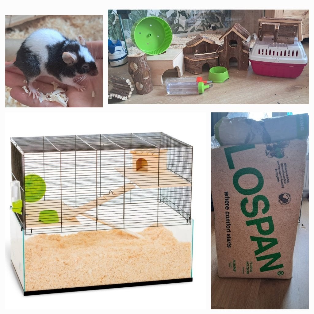 Muis met kooi en toebehoren, Dieren en Toebehoren, Ophalen, Kooi, 60 tot 90 cm, Zo goed als nieuw